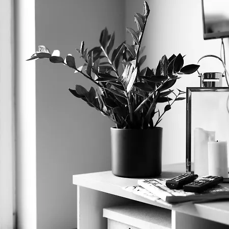 Sea Zone Climatic Apartament By The Bay Apartamento Puck