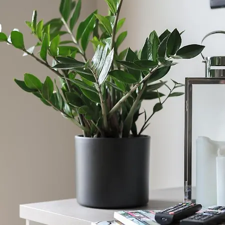 Sea Zone Climatic Apartament By The Bay Apartamento